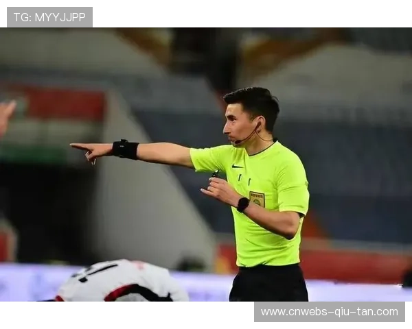 裁判争议再成焦点：专业性与公正性如何平衡？